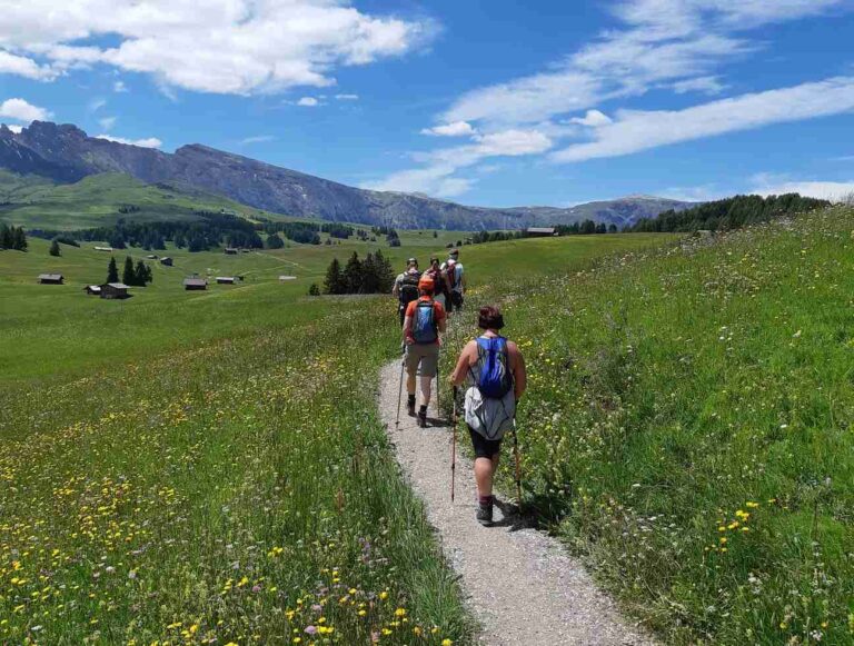 Czy kijki nordic walking można używać w górach