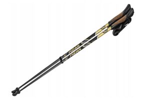 Kijki nordic walking Fizan Runner Gold