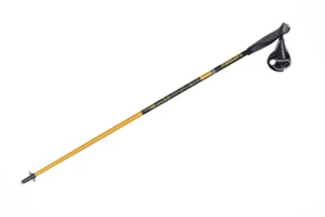 kijki nordic walking Masters PHYSIQUE 01 Carbon