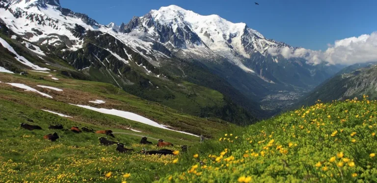 Jak wybrać kije trekkingowe?